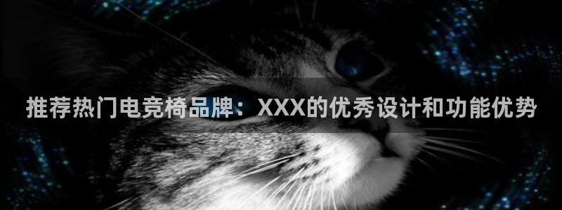 ky电竞：推荐热门电竞椅品牌：XXX的优秀设计和功能优势