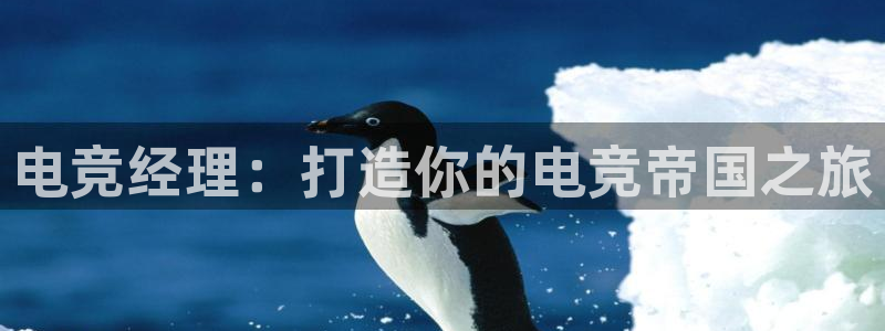 ky电竞馆：电竞经理：打造你的电竞帝国之旅